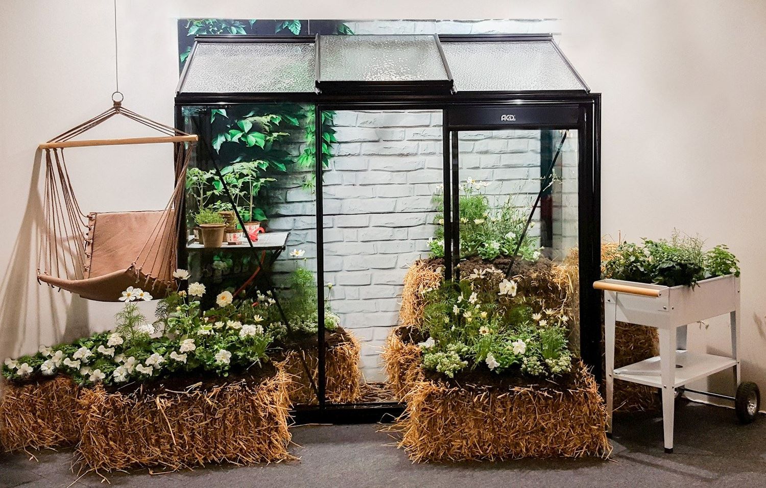 ACD Glasgewächshaus Miccolo 03 - 2,24 x 0,82m - RAL