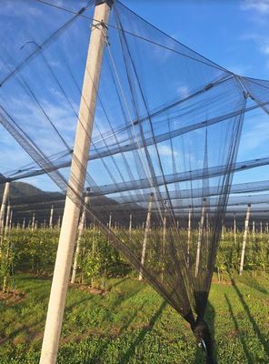 Schutznetze für Garten – Hagel, Wind, Vögel, Insekten