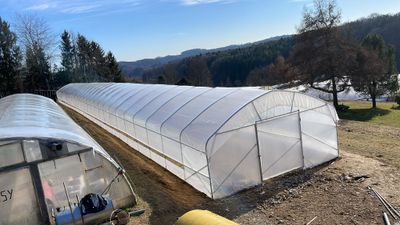 Gewächshaus, Folientunnel Profi 8m + Seitenöffnung