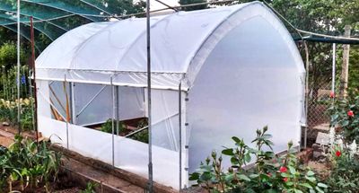 Gewächshaus, Folientunnel Profi HAUS 2,6m mit oder ohne Seitenöffnung
