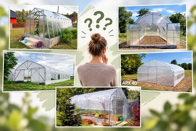 Top 5 Gewächshäuser 2026 – Welches Gewächshaus ist das richtige für Sie?