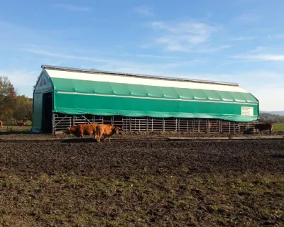 Ställe für Rinderhaltung &amp; Tierhaltung