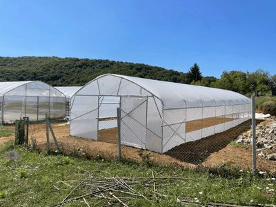PREMIUM Foliengewächshäuser – Modelle 2026