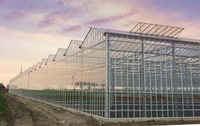Professionelle VENLO-Glasgewächshäuser