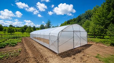 FOLIENGEWÄCHSHÄUSER - eigene Produktion & Partnerangebote