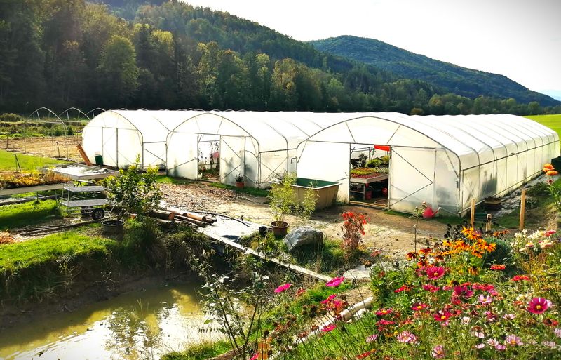 TOP PROFI Foliengewächshaus – 6 m Breite, Länge bis 60 m | Einzel- oder Doppelfolie Komplettes Profi-Gewächshaus – ideal für Hobby- und Profi-Gärtner