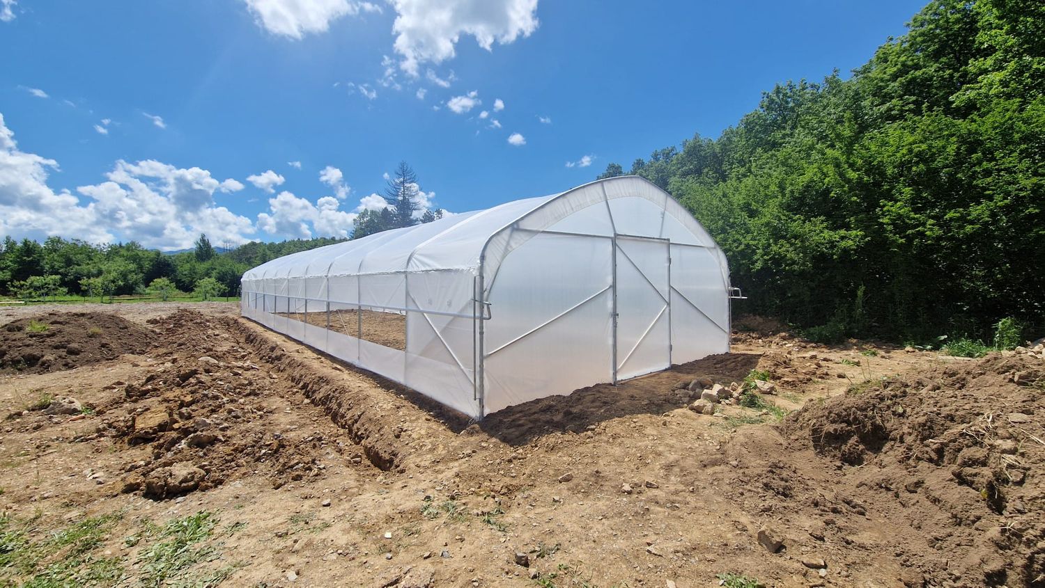 Gewächshaus/Folientunnel TOP PROFI 6m – Länge bis 60m | Einzel oder Doppelfolie | EU-Produktion