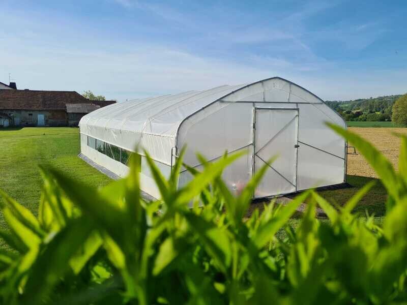 PROFI TOP MODEL 2024 Gewächshaus 5 m Breite – Gesamtansicht