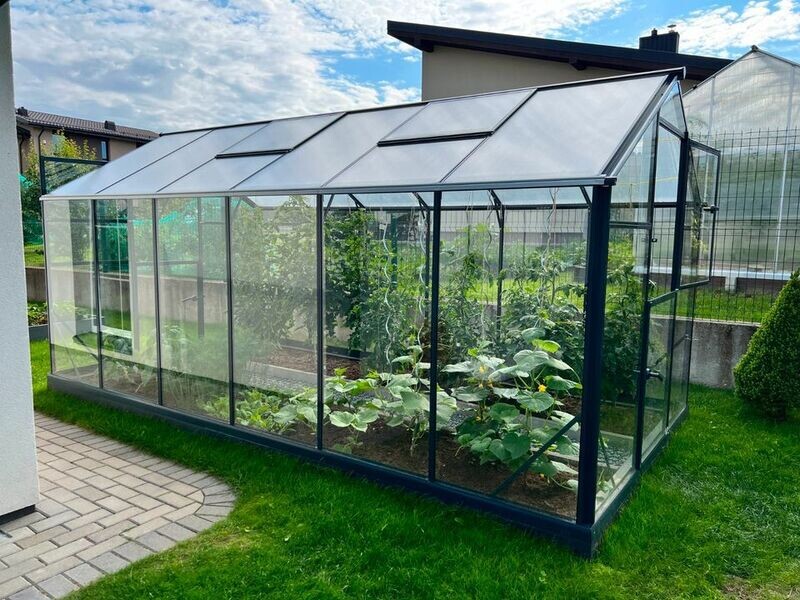 Gewächshaus SANUS HYBRID XL – 2,90 x 5,70 m – Glaswände und Polycarbonatdach – Anthrazit