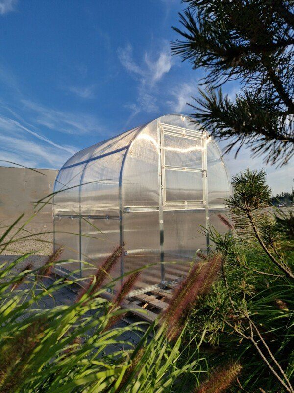 TOP GEWÄCHSHAUS CLASSIC SLIM - B 2m x Länge nach 2m + 4/6 mm Polycarbonat + Versand