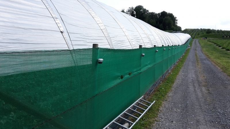 Windschutznetz - Beschattungsnetz pe 50%, Breite 2 m