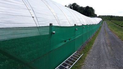 Windschutznetz - Beschattungsnetz pe 50%, Breite 2 m