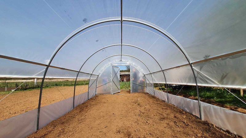 TOP Gewächshaus - Treibhaus - Pflanzenhaus HOBBY/PROFI TUNNEL 3,0m breite + SEITLICHE ÖFFNUNG
