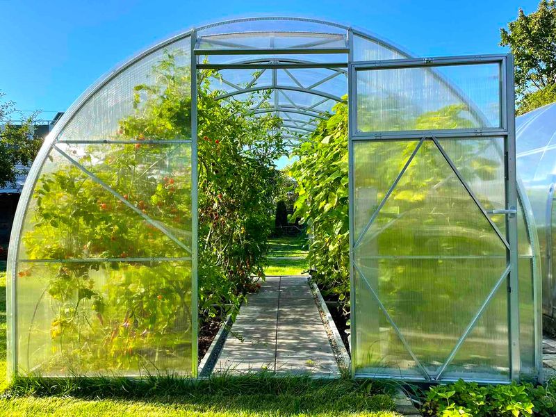 EcoSlider ES Polycarbonat-Gewächshaus – 3,0 m breit | Vormontiert