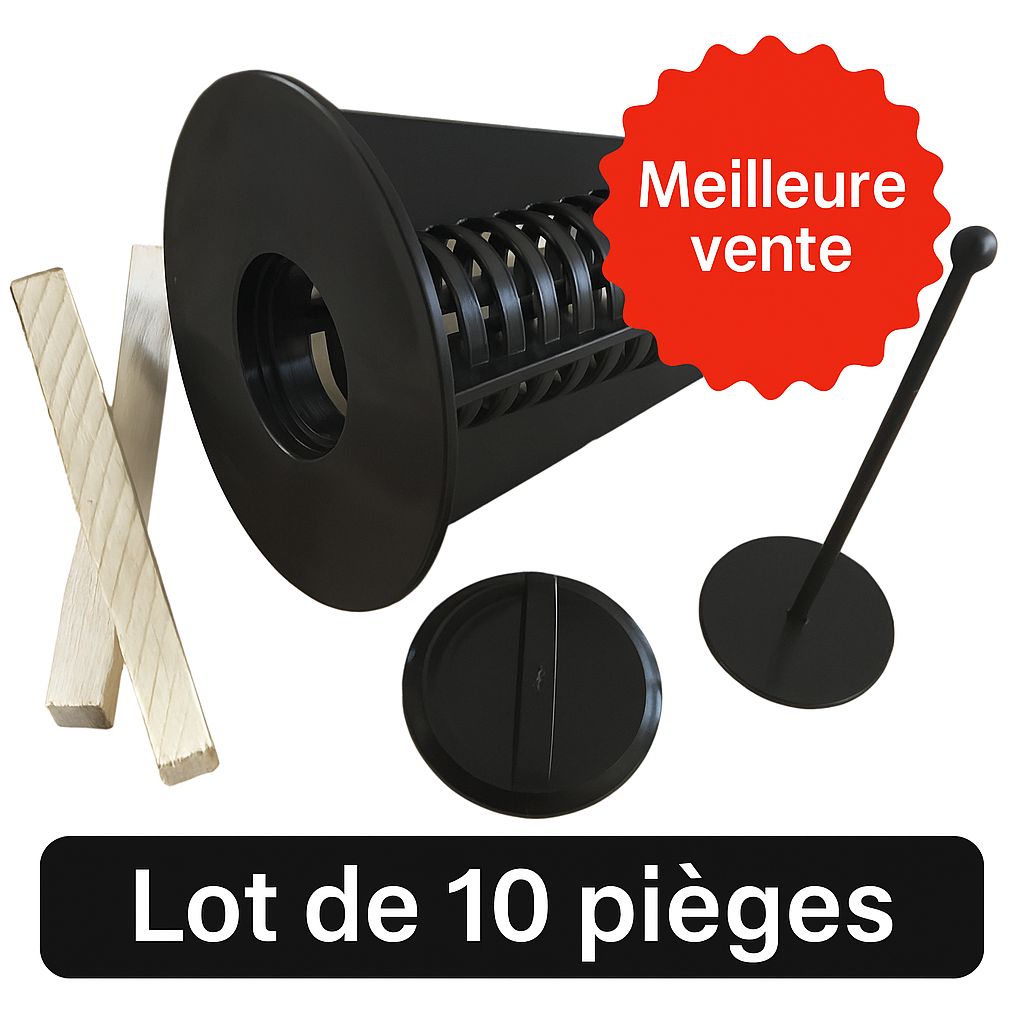 Anti Termite 10 Pièges de Détection Surveillance Terrain