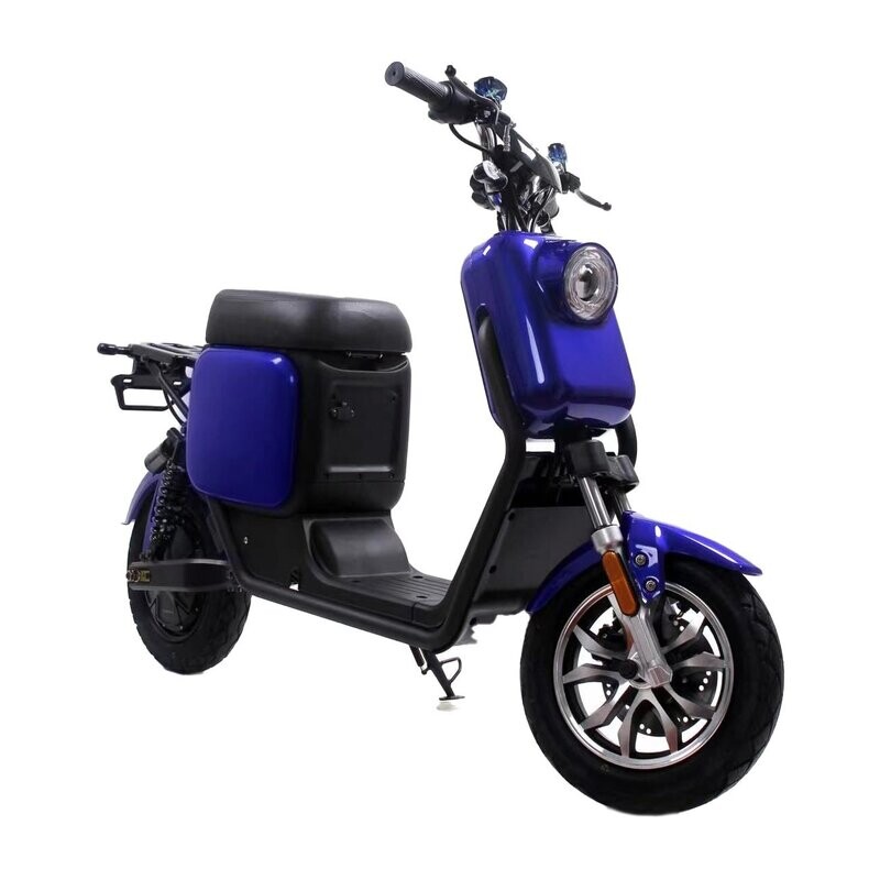 CityTwister 1.0 - 1000 Watt, E-Roller. klein, spritzig & wendig