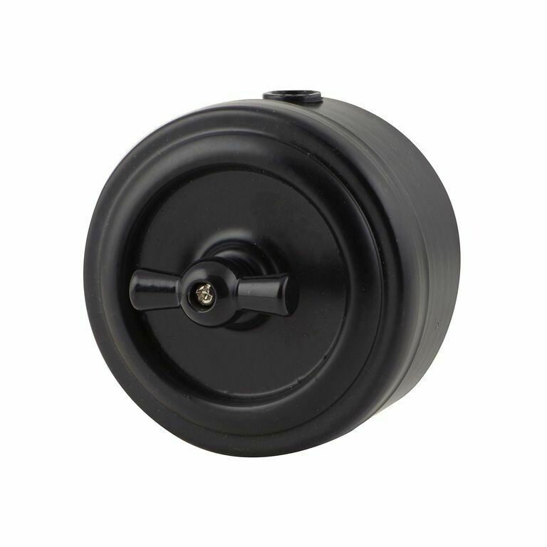 Black painted rotary switch