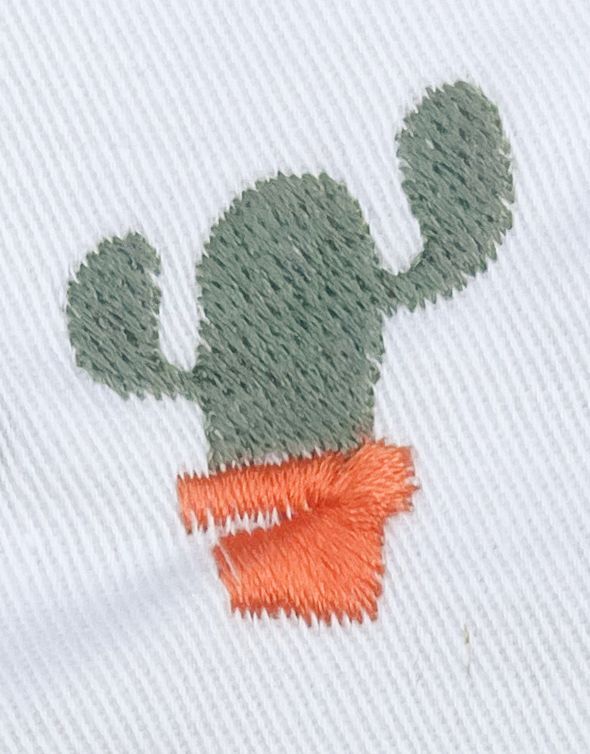 Bio Trui met Cactus: geborduurd icoontje (cactus) op een trui van biologisch katoen