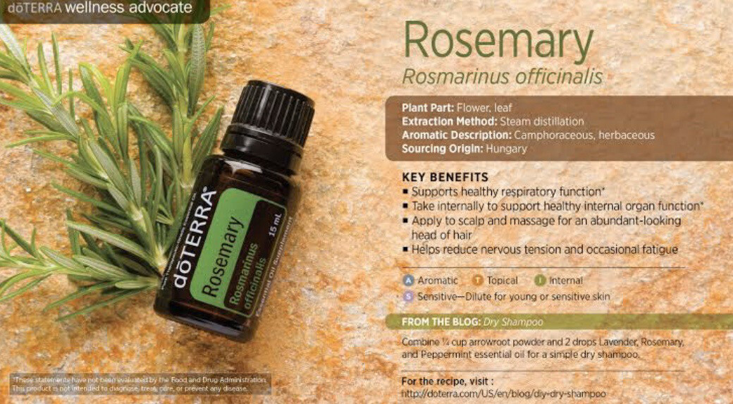 FREE - Rosemary Essential oil When Purchasing A Kit