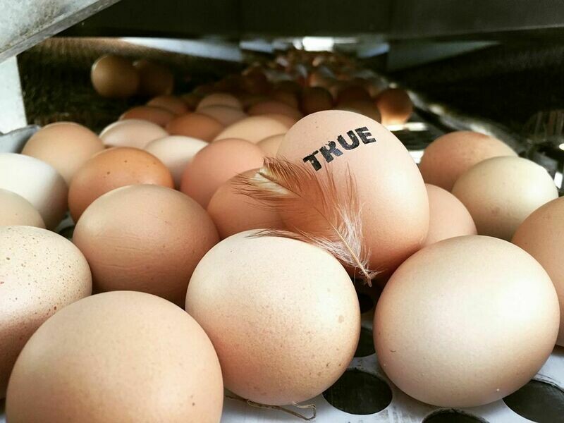 TRUEggs x 30