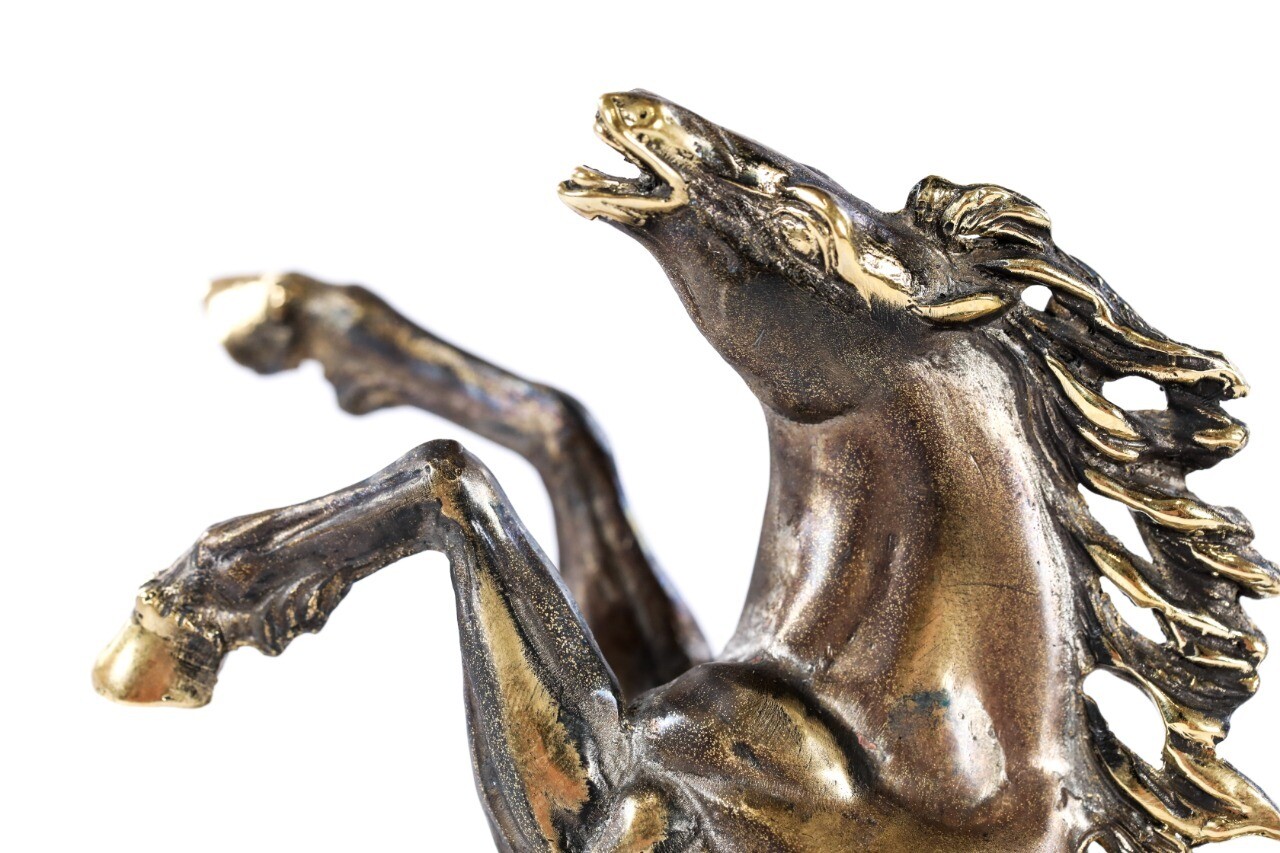 Bronze sculpture the Horse