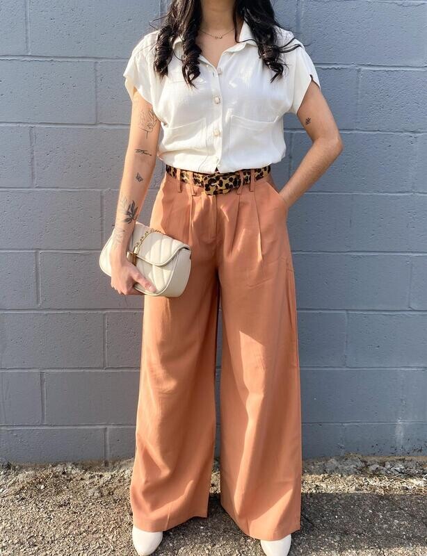 Pantaloon Pants
