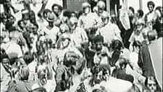 BLACK PANTHERS : PT1