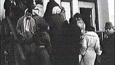 BLACK PANTHERS : PT2