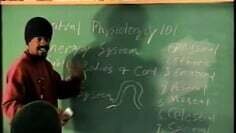SPIRTUAL PHYSIOLOGY 101 :AMEN RA, KAM KAM