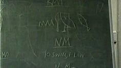THE WRITING SYSTEM OF THE MEDU NETER