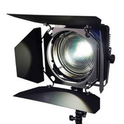 Zylight F8 100