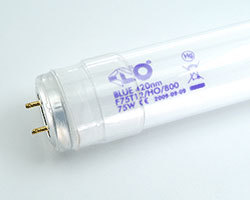 COLOR Bi-Pin Bleu incrust 120cm