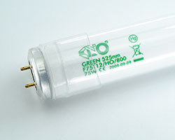 COLOR Bi-Pin Vert incrust 120cm