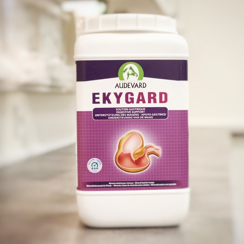 Ekygard 2,4kg