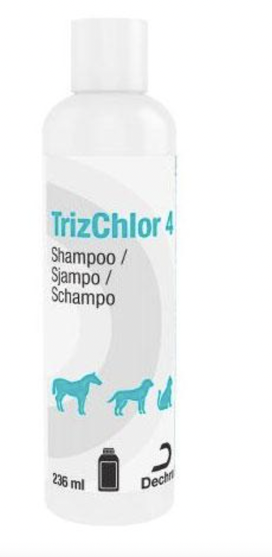 4 Shampoo 230ml
