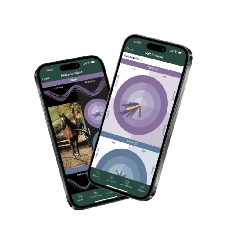 Sleip AI Telekonsultation - Efter Halthedsanalysen