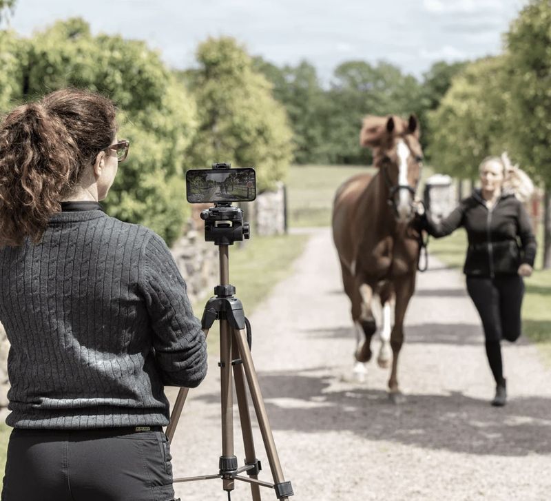 Halthedsanalyse med Sleip AI