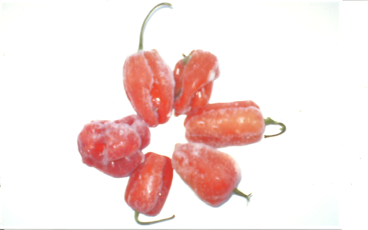 PICANTE ROJO  PIMENT ROUGE