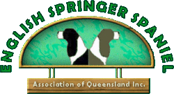 English Springer Spaniel Club
