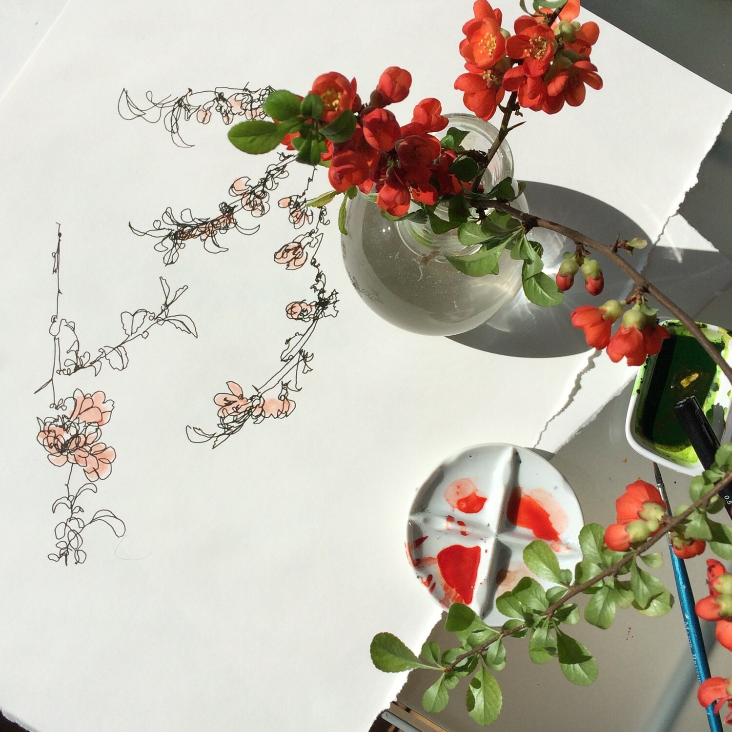 -SOLD OUT-Floral Drawing Session, Pen & Coloured Ink: Wednesday 17th August 6pm 