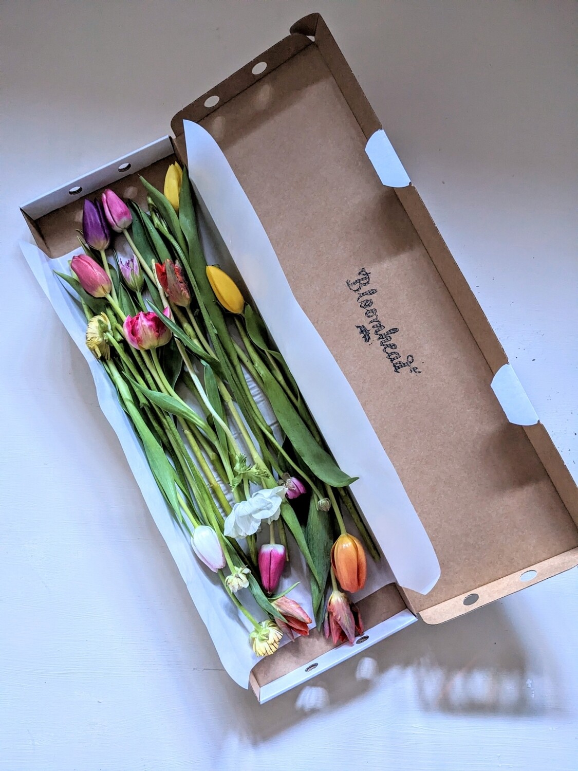 Letterbox spring flower box with tulips, ranunculus and anemones
