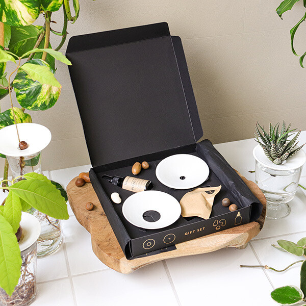 Botanopia Deluxe Germination Gift Box 