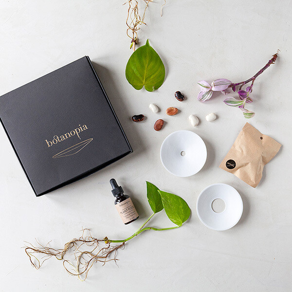 Botanopia Deluxe Germination Gift Box 