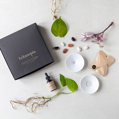 Botanopia Deluxe Germination Gift Box 