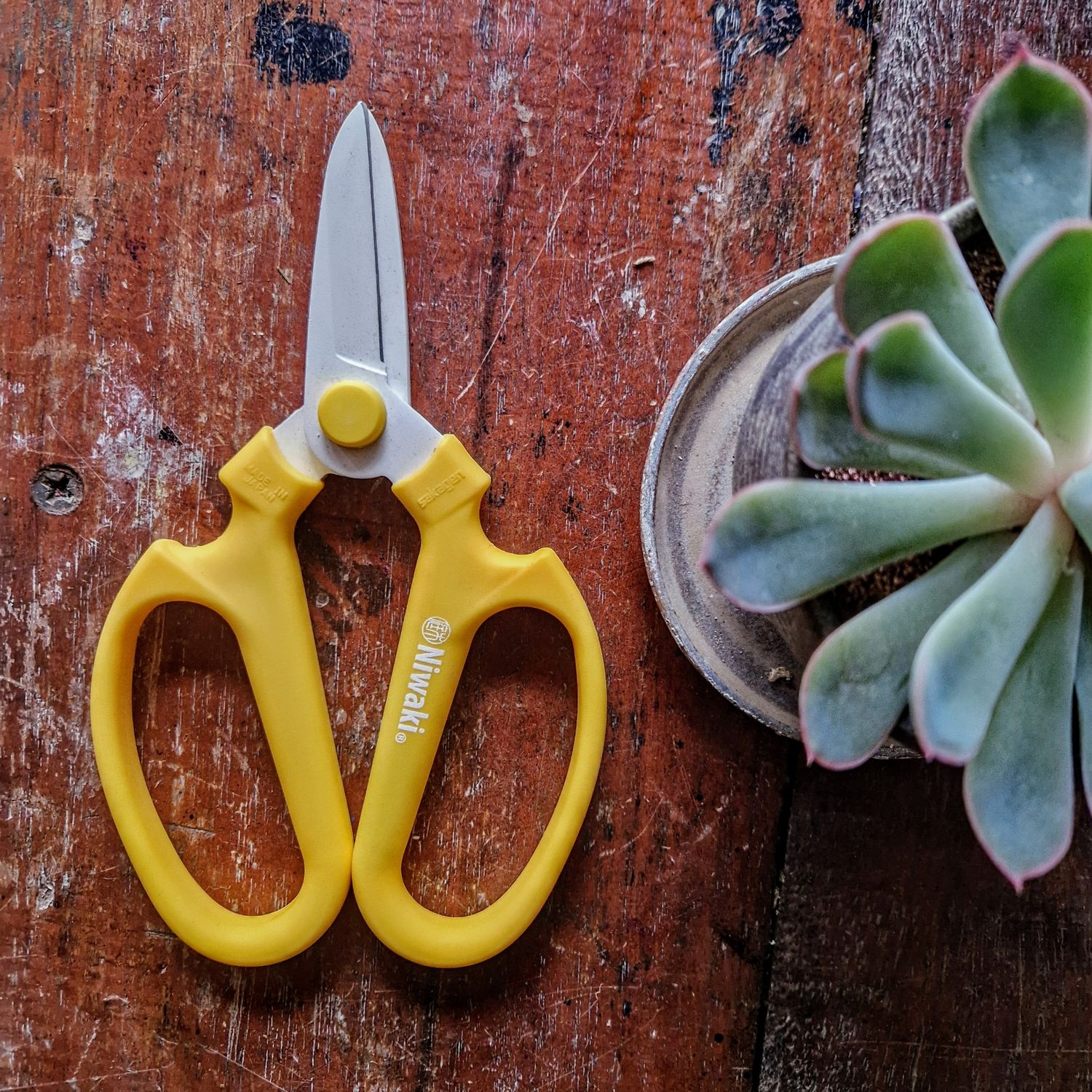 Niwaki Sakagen Scissors