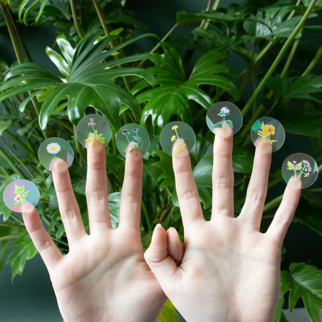 Rainbow Maker - 8m mini wildflowers stickers for your window