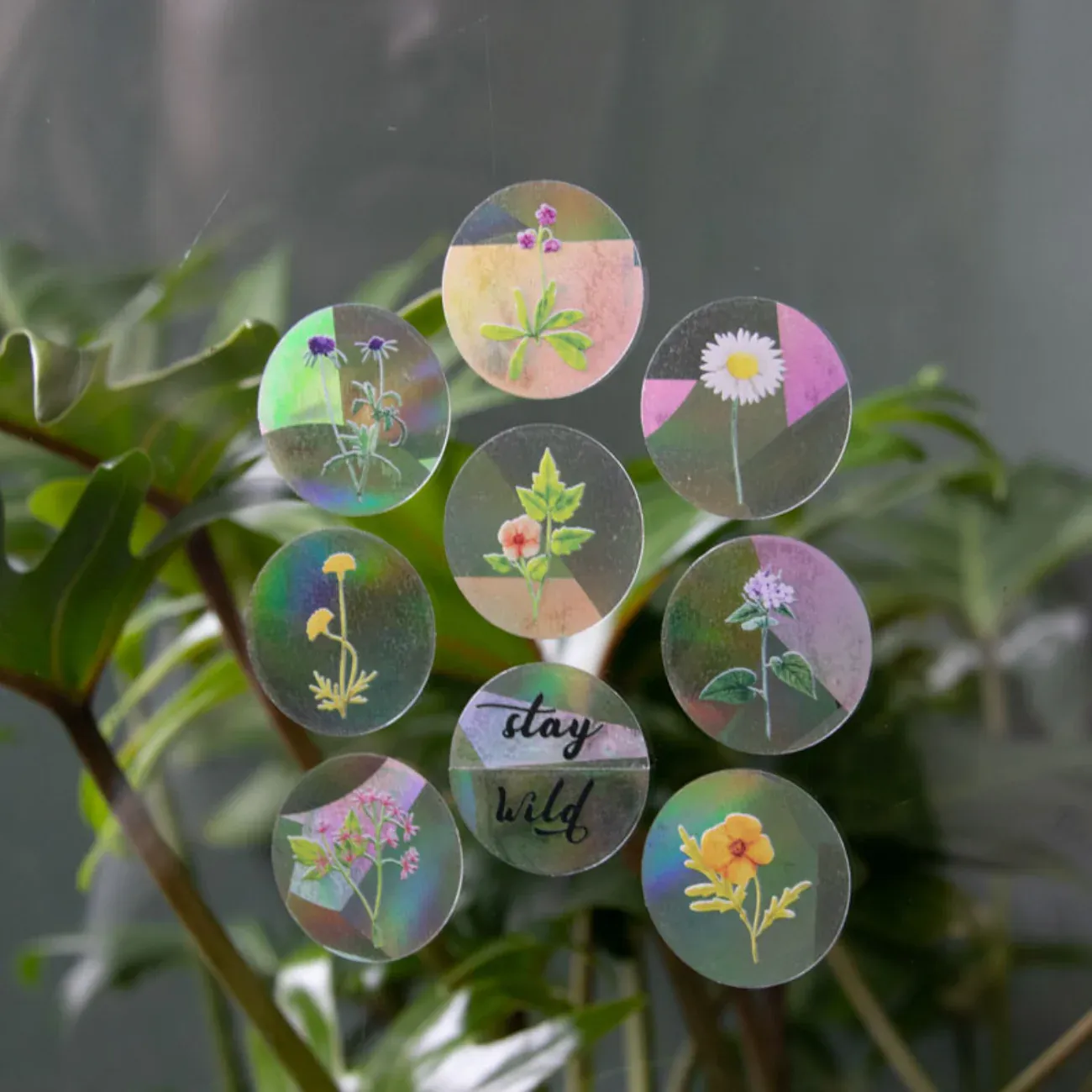 Rainbow Maker - 8m mini wildflowers stickers for your window