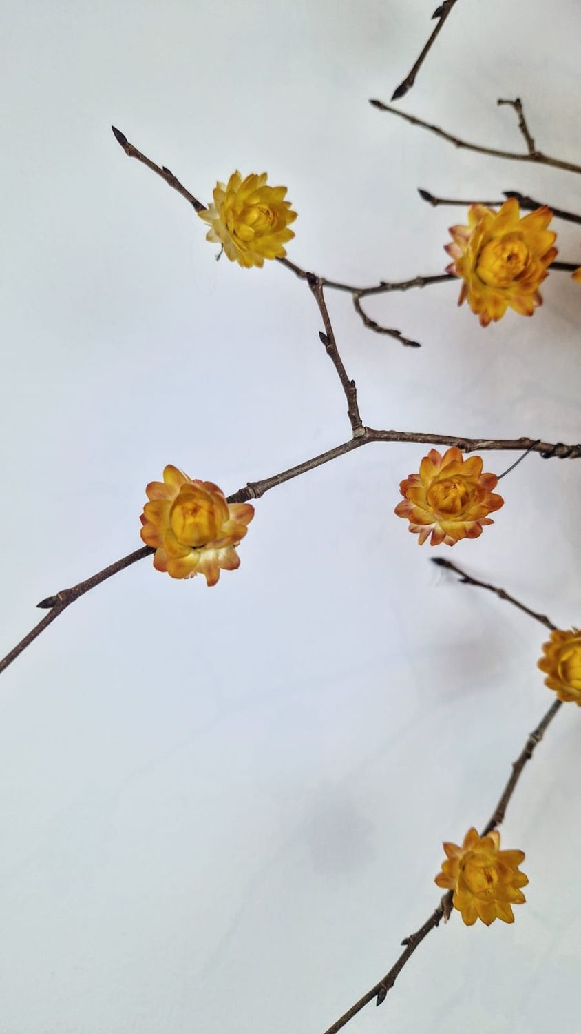 Sun Burst Wall Decor