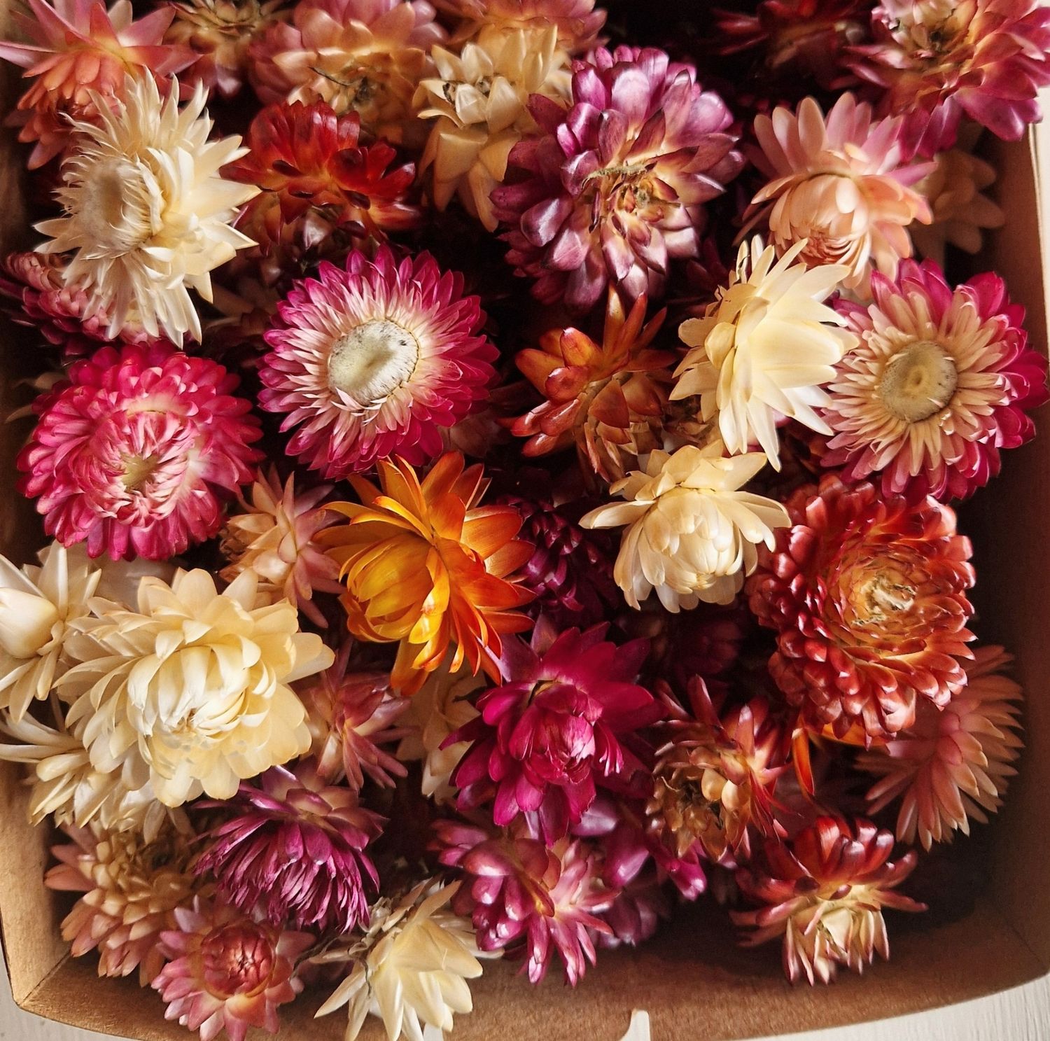 Dried Helichrysum, Loose Strawflower Heads, Mixed Colours