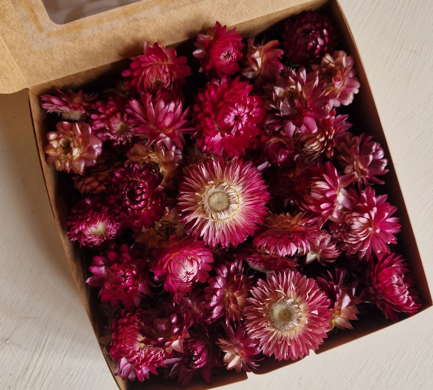 Dried Helichrysum, Loose Strawflower Heads, Deep Pink Mix